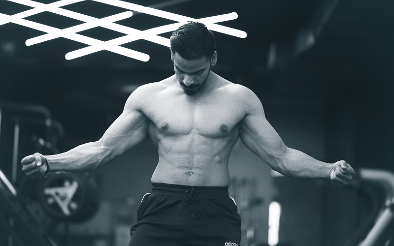 body recomposition